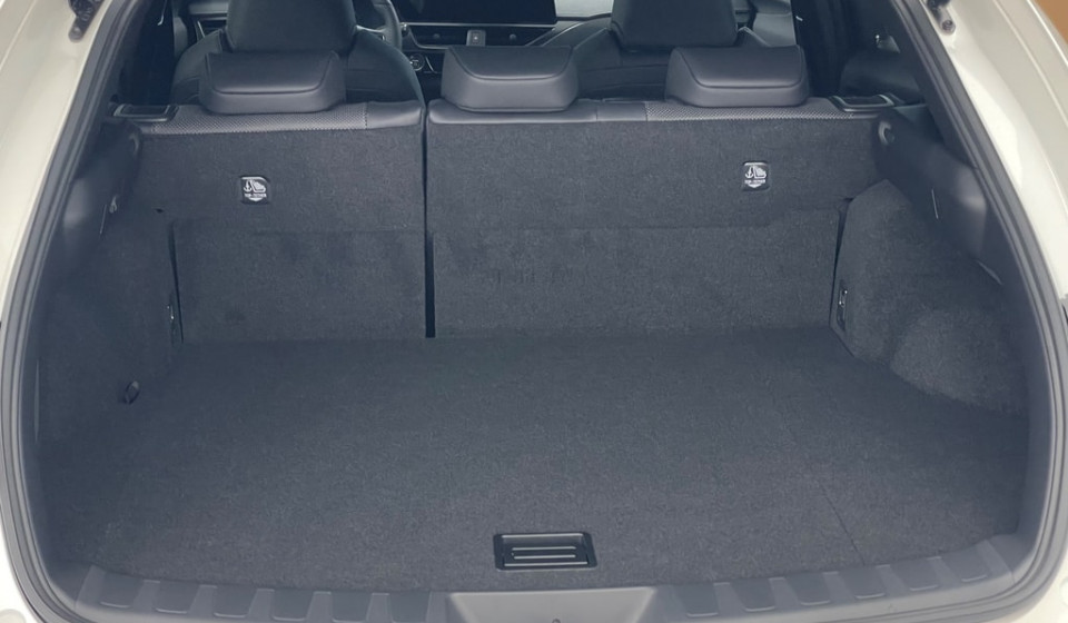 LEXUS UX 250h Comfort E-FOUR Voll-Hybrid
